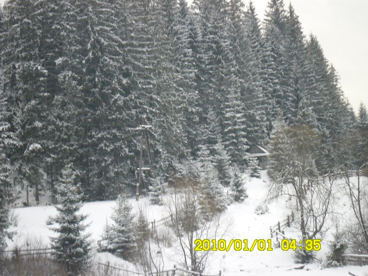 Lisovychok Vorokhta Exterior foto
