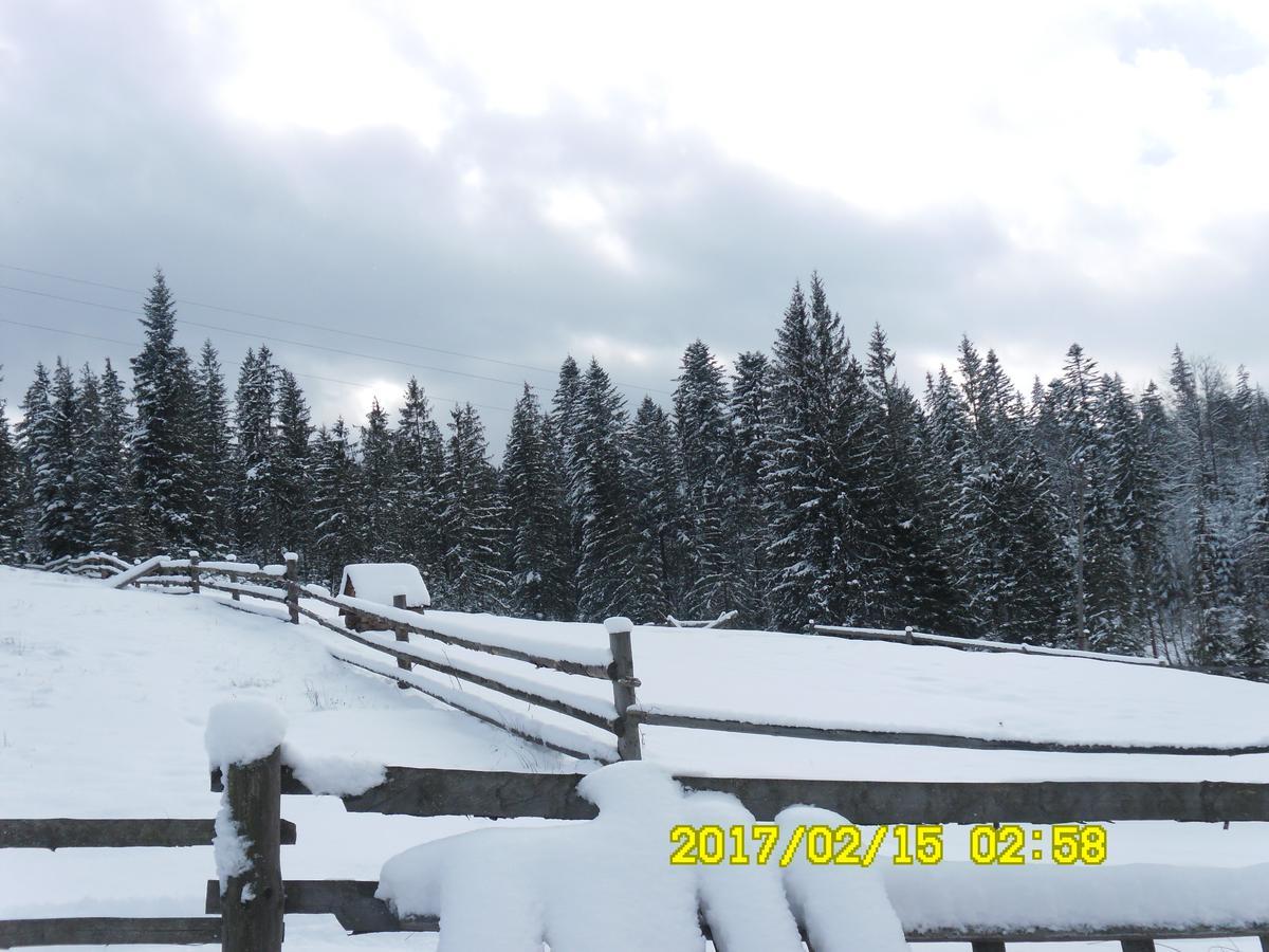 Lisovychok Vorokhta Exterior foto
