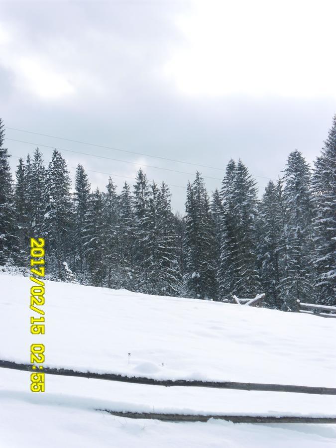 Lisovychok Vorokhta Exterior foto
