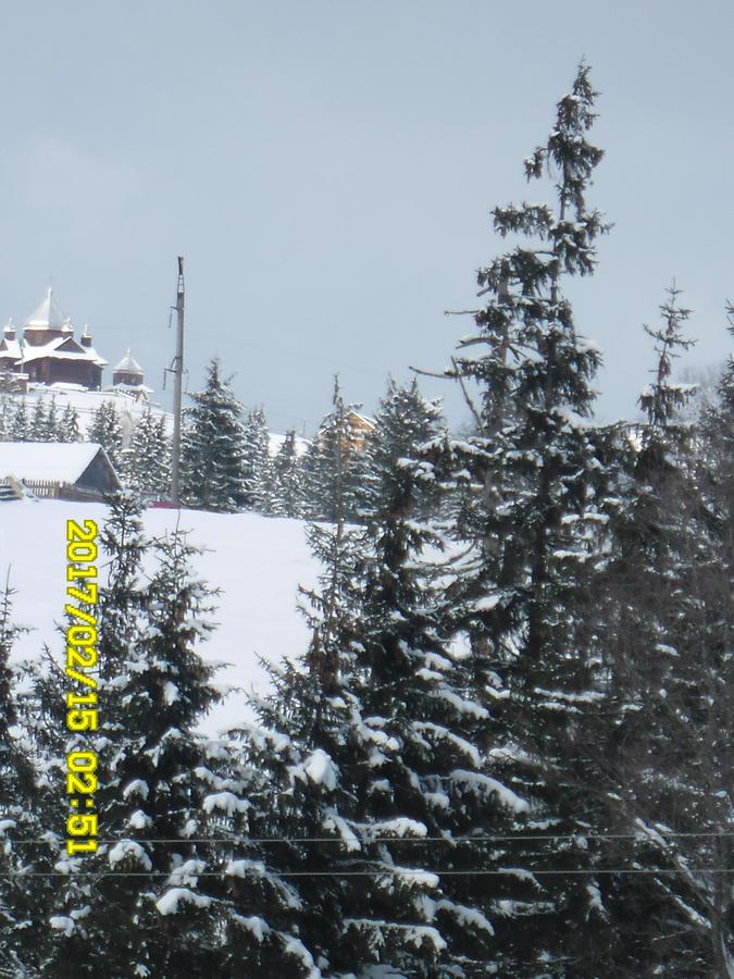 Lisovychok Vorokhta Exterior foto