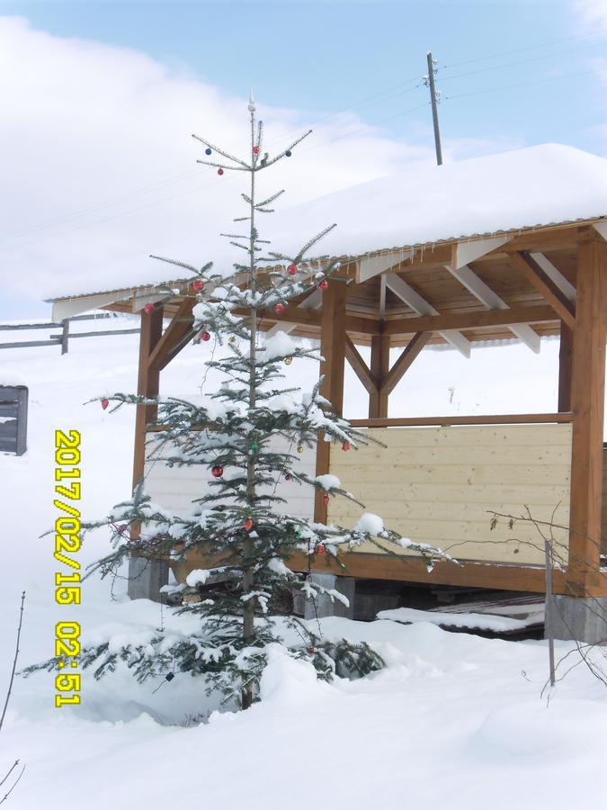 Lisovychok Vorokhta Exterior foto