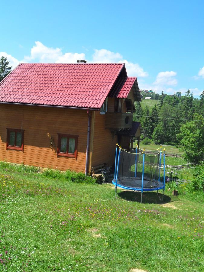 Lisovychok Vorokhta Exterior foto