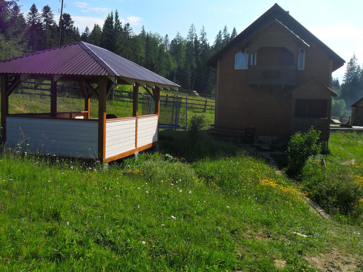 Lisovychok Vorokhta Exterior foto